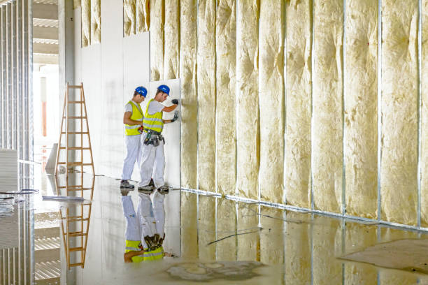 Best Insulation Installation Services in Guymon, OK